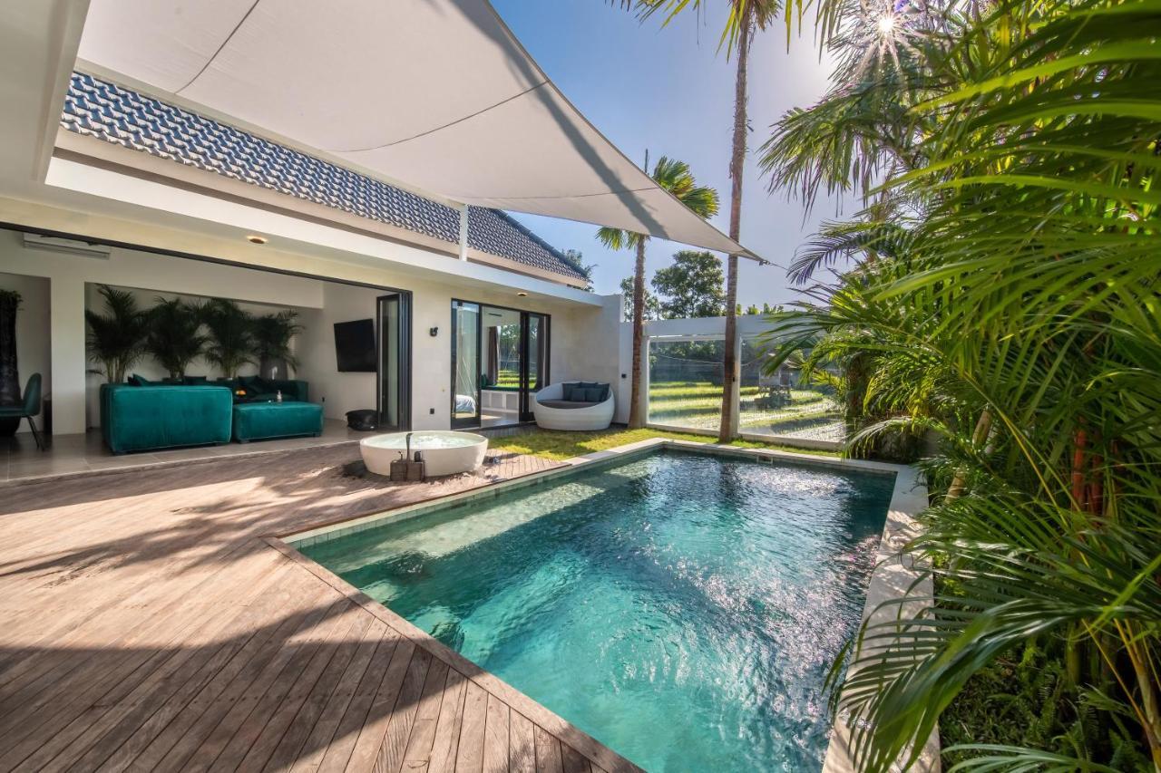 Rice Field View With Sauna Projector And Jacuzzi Unique Design تْشانغو المظهر الخارجي الصورة